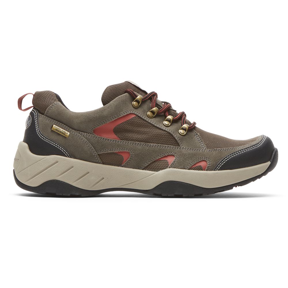 Sapatilhas Rockport Xcs Spruce Peak Trekker Waterproof Homem - Marrom Escuro ( 691-YKNCXG )